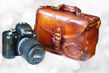 A Camera and leather bag sculpted cake for a photography enthusiast's birthday
