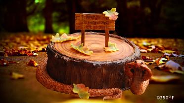 A chocolate snake slithers around a delicious tree bark cake on Elias' 7th birthday