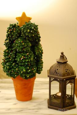 Mini Christmas Tree arrangment made from cupcakes by 350 Degree Fahrenheit