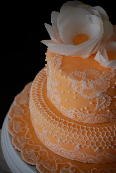 A peach two tiered wedding cake with lace work and white flowers